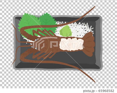 Illustration of sashimi of lobster Illustration of sashimi of lobster 65968582