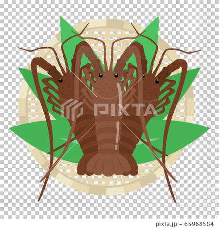 Illustration of lobster on a colander Illustration of lobster on a colander 65968584