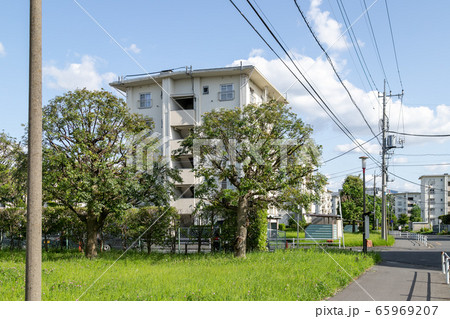 春日部市にある団地の風景 埼玉県春日部市 日本 春日部市にある団地の風景 埼玉県春日部市 日本 65969207