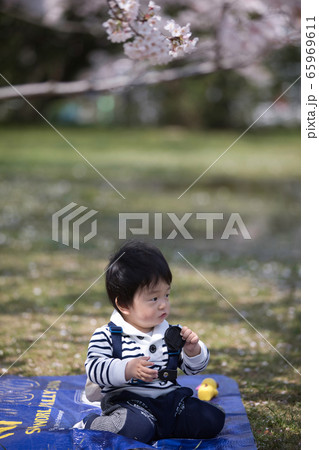 男の子 ポートレート 男の子 ポートレート 65969611