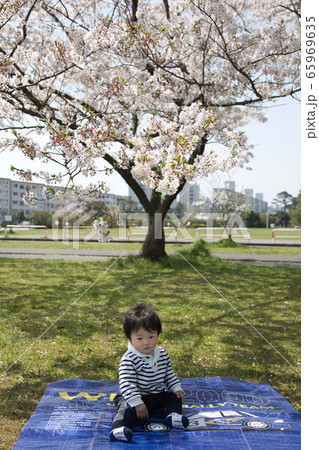 男の子 ポートレート 男の子 ポートレート 65969635