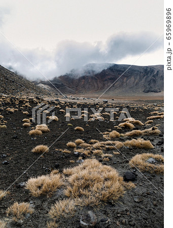 Tongariro National Park, New Zealand Tongariro National Park, New Zealand 65969896