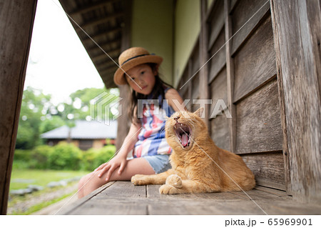 のんびり過ごす猫と少女 65969901