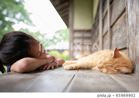 一緒に昼寝をする猫と女の子の写真素材 [65969902] - PIXTA