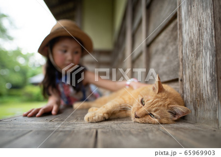 子供に撫でられる猫 65969903
