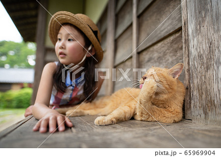 のんびり過ごす猫と少女 65969904