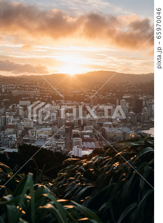 Wellington city center and harbour at sunset 65970046
