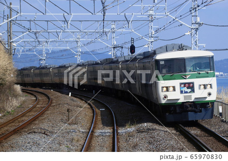 特急踊り子：185系電車（15両編成） 65970830