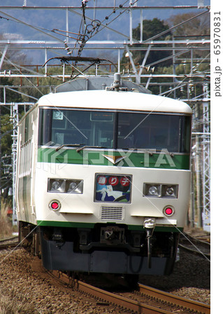 特急踊り子：185系電車（15両編成） 65970831