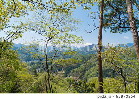 岩殿山から見た富士山（大月市） 65970854
