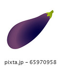 Ripe eggplant aubergine vector illustration 65970958