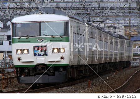 臨時特急踊り子：185系電車（8両編成） 65971515