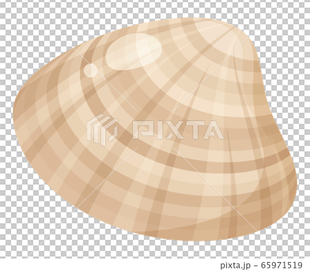 ハマグリのイラスト_1個 ハマグリのイラスト_1個 65971519