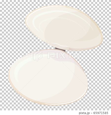 開いた貝殻_二枚貝_イラスト_あさり_ハマグリ 65971585