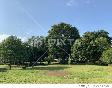 公園の風景「連雀中央公園」：三鷹市 65971750