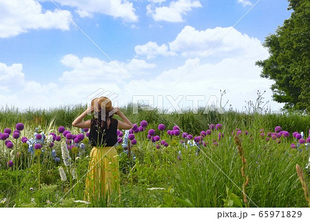 青空の下の花畑 65971829