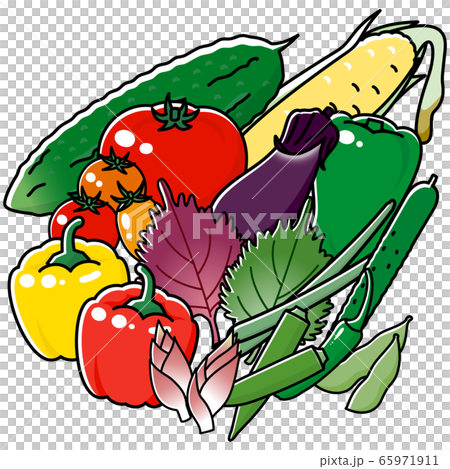 Plenty of summer vegetables cartoon 65971911