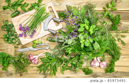 Fresh herbs vegetables Basil parsley mint thyme 65973491