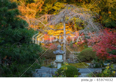 金戒光明寺の秋、「紫雲の庭」の枯山水に灯籠 金戒光明寺の秋、「紫雲の庭」の枯山水に灯籠 65974032