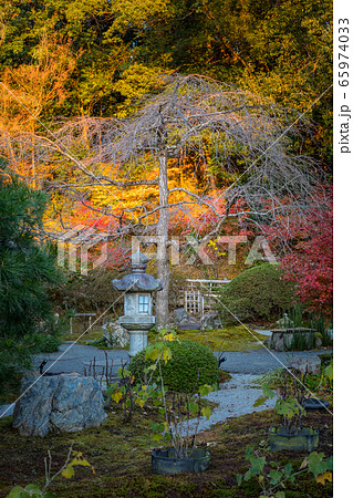金戒光明寺の秋、「紫雲の庭」の枯山水に灯籠 65974033