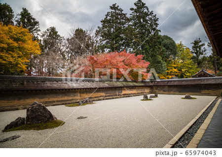龍安寺方丈庭園、石庭に紅葉 龍安寺方丈庭園、石庭に紅葉 65974043