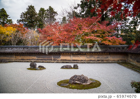龍安寺方丈庭園 石庭に紅葉の写真素材