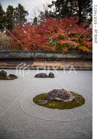 龍安寺方丈庭園、石庭に紅葉 65974071