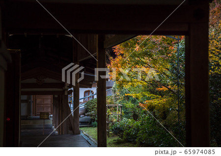 龍安寺方丈庭園、廊下から紅葉の眺め 龍安寺方丈庭園、廊下から紅葉の眺め 65974085