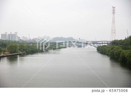 洋画大橋 漢江 森 65975008