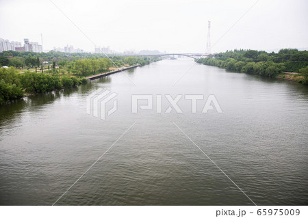 洋画大橋 漢江 森 65975009