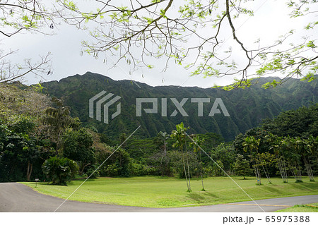 Ho’omaluhia Botanical Garden オアフの植物園 65975388