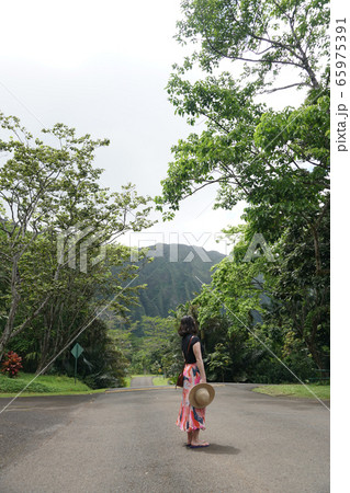Ho’omaluhia Botanical Garden オアフの植物園 65975391