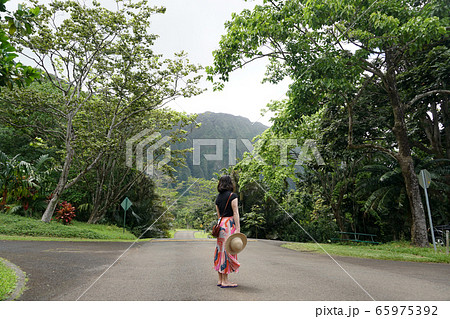 Ho’omaluhia Botanical Garden オアフの植物園 65975392