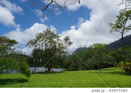 Ho’omaluhia Botanical Garden ハワイの植物園 Ho’omaluhia Botanical Garden ハワイの植物園 65975582