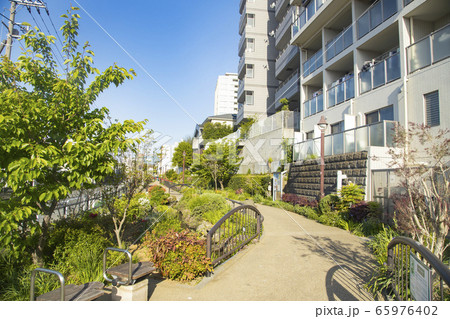 春の目黒川緑道 65976402