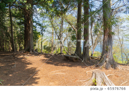 高水山山頂(奥多摩の高水三山) 高水山山頂(奥多摩の高水三山) 65976766
