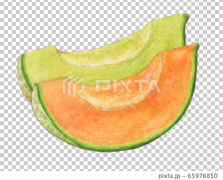甜瓜手繪水彩 65976850