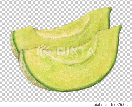 甜瓜手繪水彩 65976852