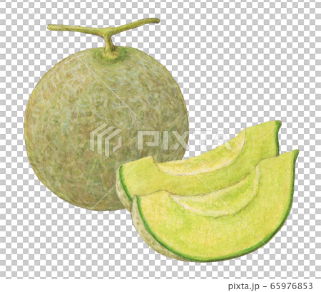 甜瓜手繪水彩 65976853