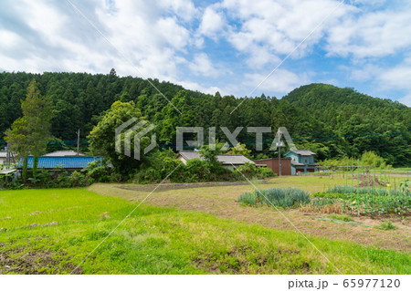 官ノ倉山付近の町並み(奥武蔵) 官ノ倉山付近の町並み(奥武蔵) 65977120