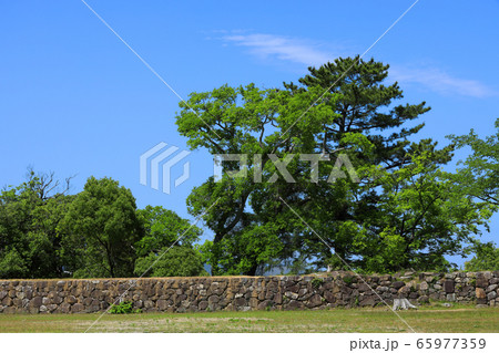 松坂城跡(三重県) 松坂城跡(三重県) 65977359