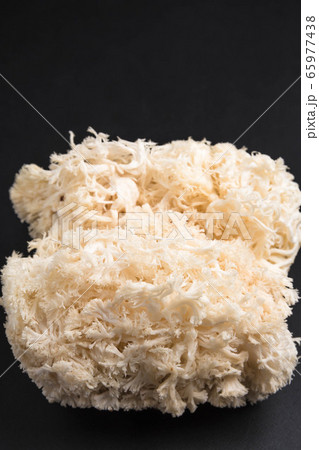 ヤマブシタケ 65977438