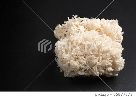 ヤマブシタケ 65977575