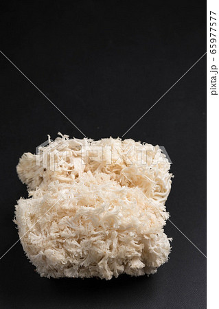 ヤマブシタケ 65977577