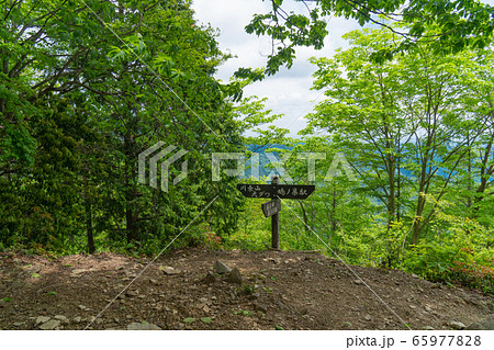 本仁田山の登山道分岐（奥多摩） 65977828