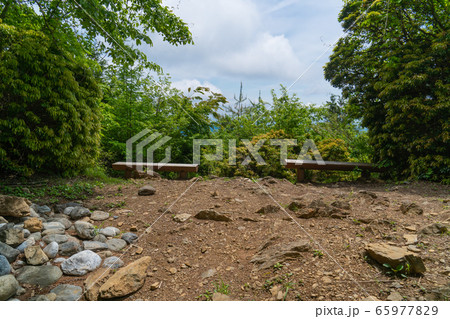 本仁田山山頂（奥多摩） 65977829