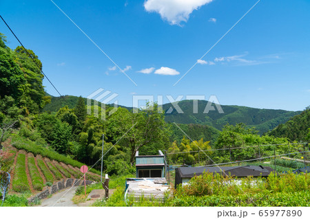 生藤山の鎌沢休憩所(奥高尾) 生藤山の鎌沢休憩所(奥高尾) 65977890