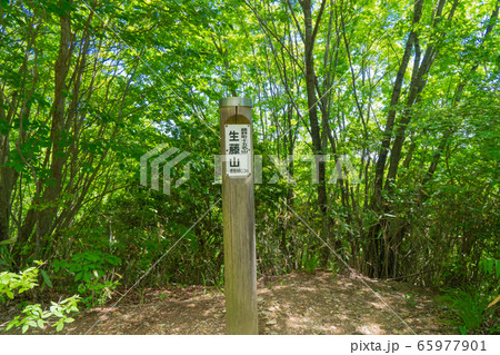 生藤山山頂（奥高尾） 65977901