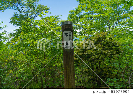 芽丸山頂の標識(奥高尾) 芽丸山頂の標識(奥高尾) 65977904