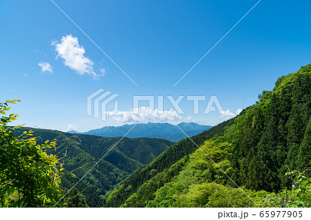 生藤山・三国山の登山道(奥高尾) 生藤山・三国山の登山道(奥高尾) 65977905